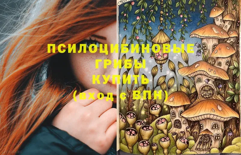 Галлюциногенные грибы Psilocybine cubensis  Калтан 